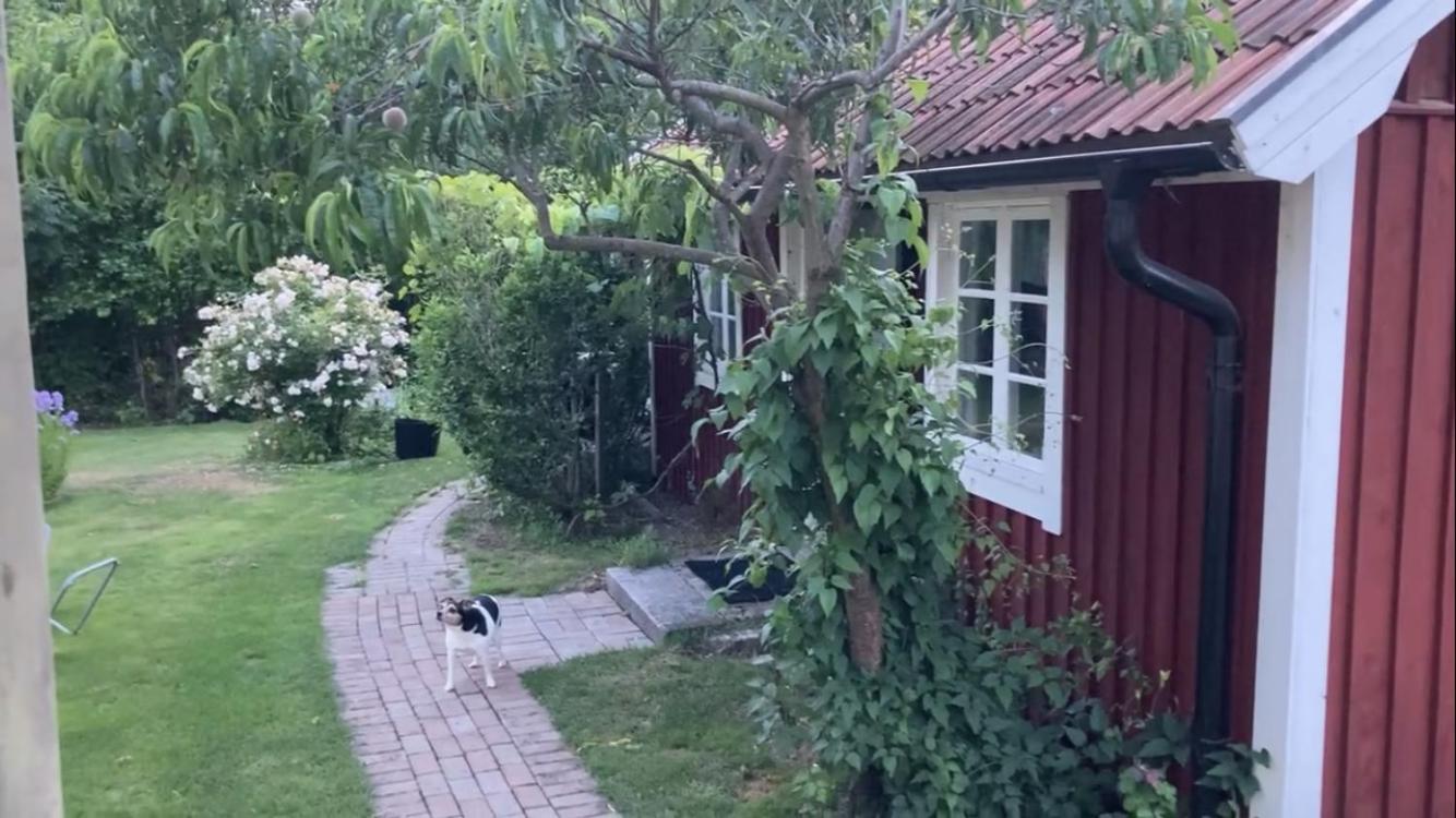 Isans Stuga Broby المظهر الخارجي الصورة